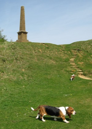Ham Hill monument