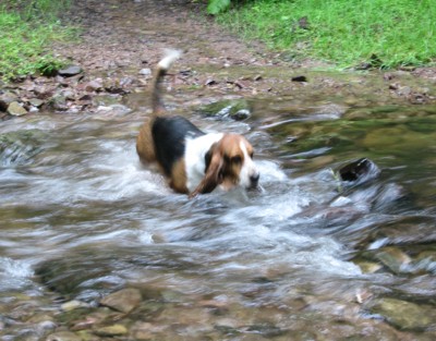 Matilda swimming