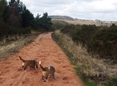 Paths