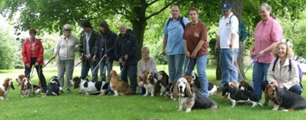 Basset group at Horner