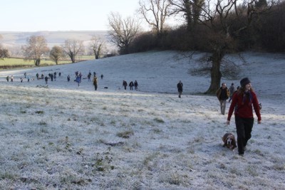 Cerne frost