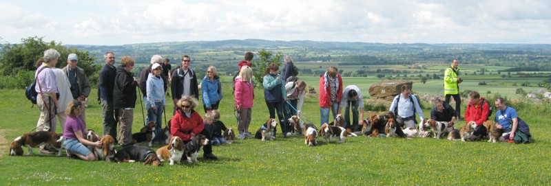 Ham Hill start