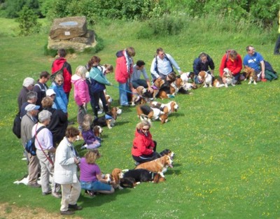 Bassets Ham Hill start