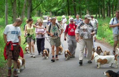 Savernake Basset group