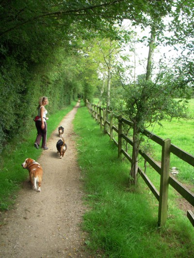Cotswold walk