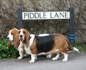 Piddle Lane