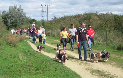 Cotswold water park