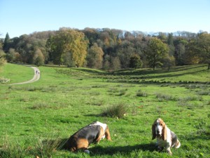 Valley walk