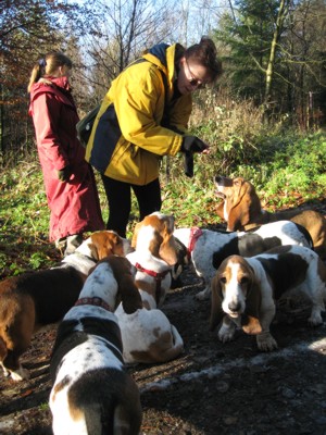 Vera feeding hounds