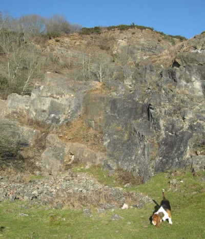 Old quarry