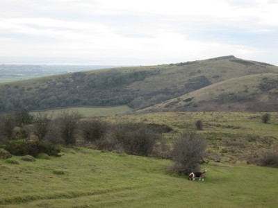 Crook Peak