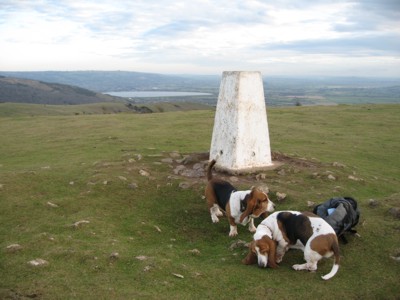 Cheddar Reservoir