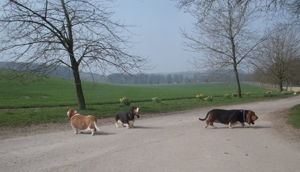 Temple Farm