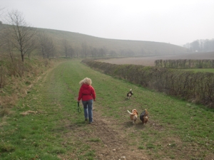 Ridgeway