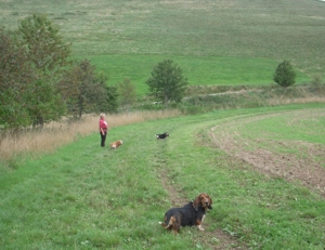 Ridgeway