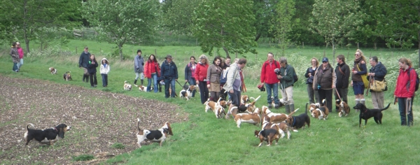 Hackpen walk start