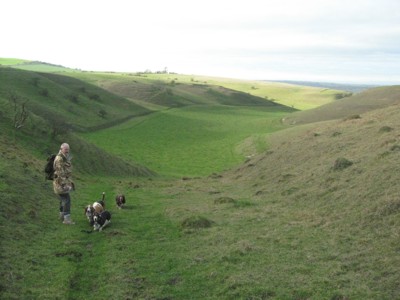 Calston Combes