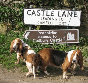 S Cadbury sign