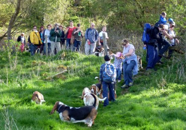 Waiting at stile