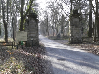 Grand Drive