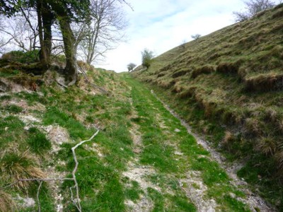 Track