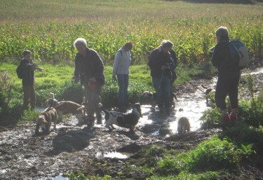 End of walk wash