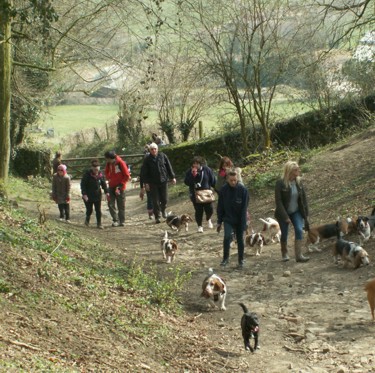 Cadbury climbing