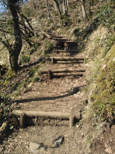 Steps