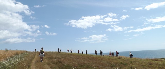 Cliff-top