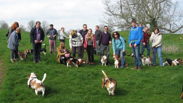 Bassets at start