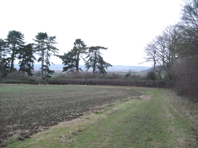 Fields