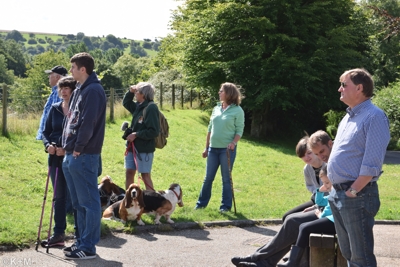 Baset Hound Walkers at Cerne