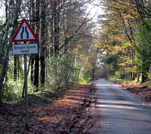 Single track sign