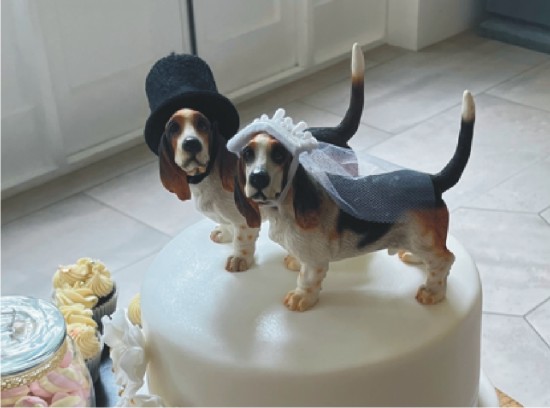 Chloe's wedding cake