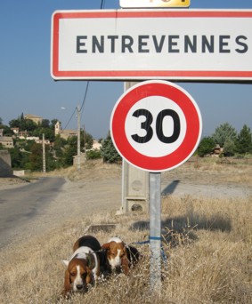 Entrevennes