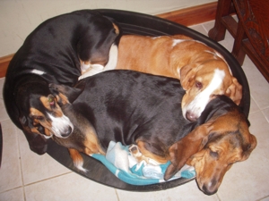 Three in a bed