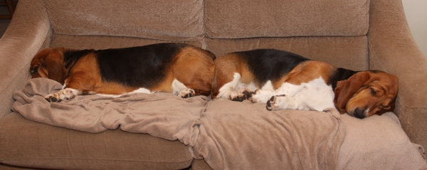 Harmony and Melody on sofa