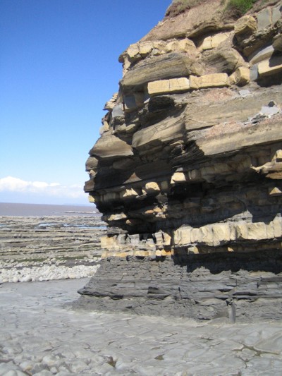 Kilve cliffs